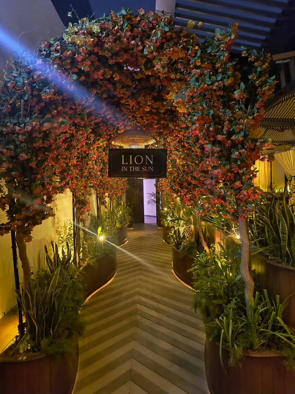 Flower arch entrance at Lion in the Sun leading to the open rooftop